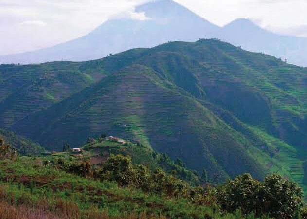 kigezi