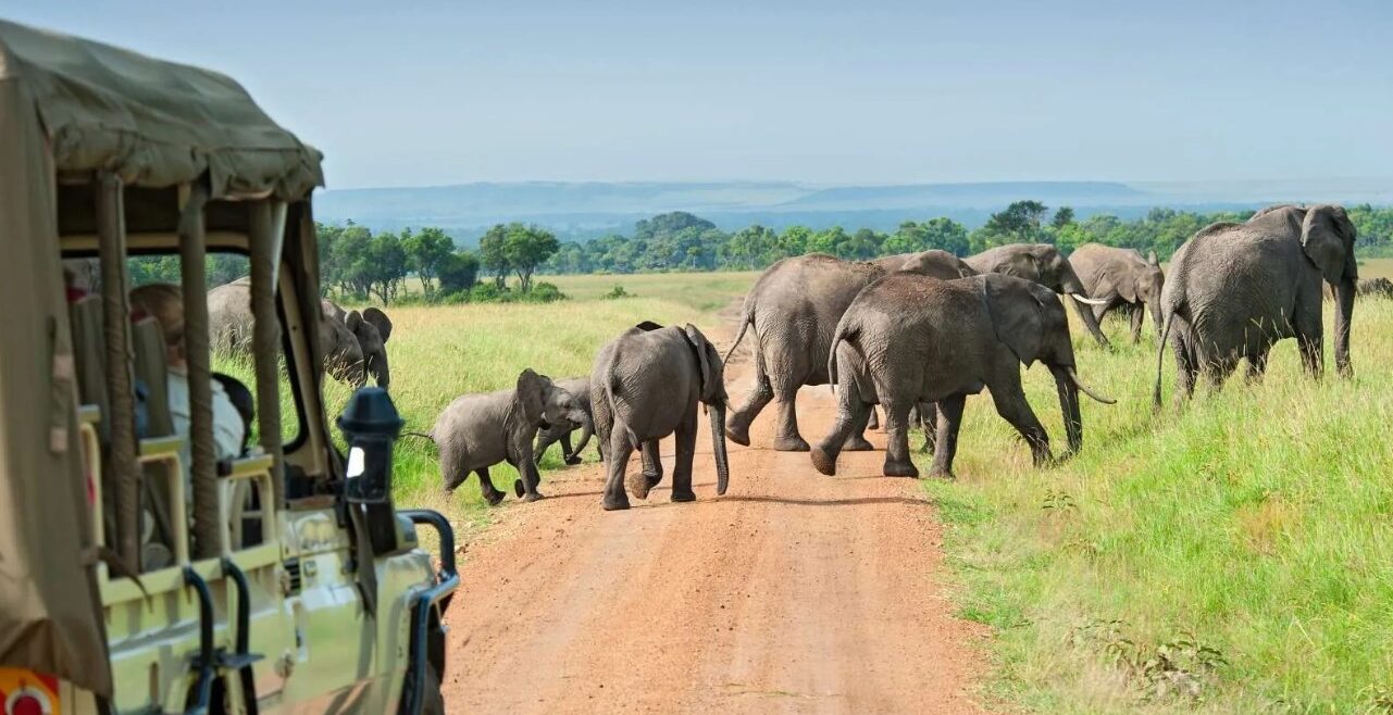 Uganda-Wildlife-Tours
