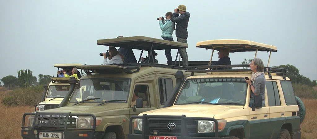 game drive at murchison