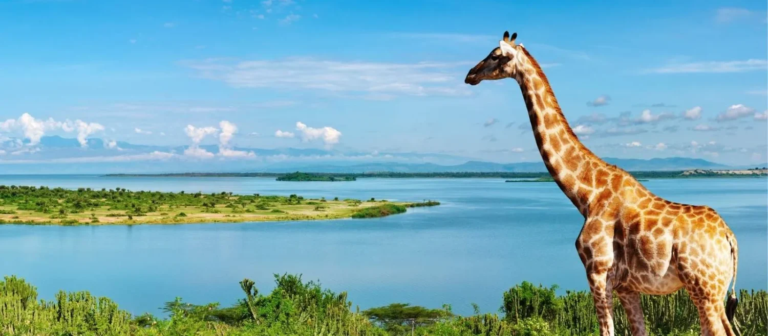 ultimate safari east africa