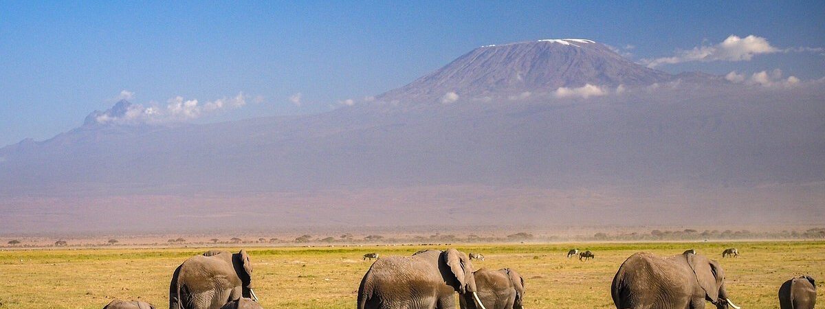 amboseli np