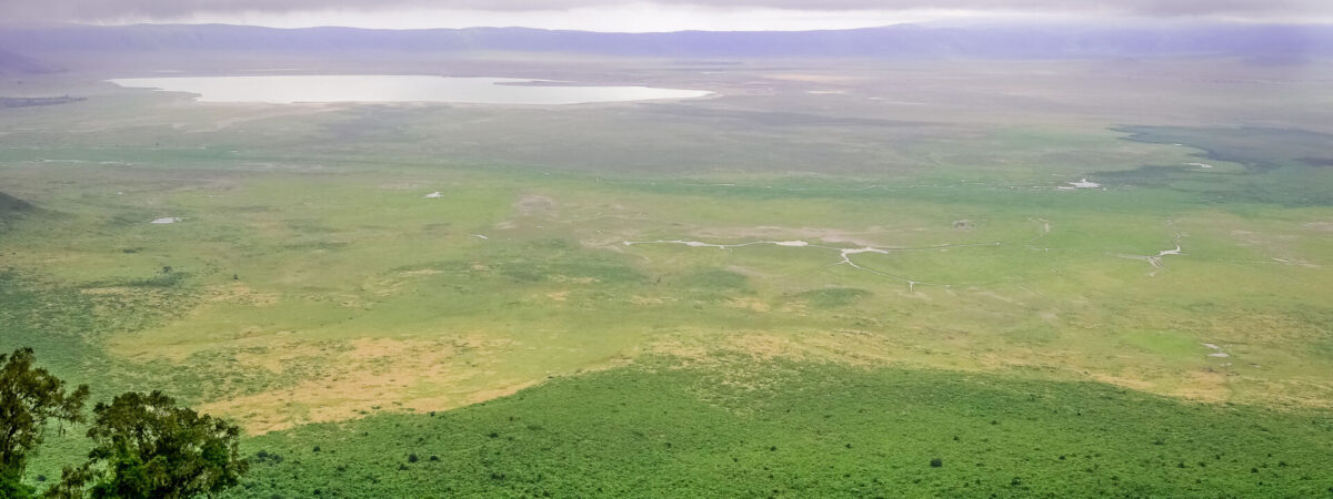 conservation area