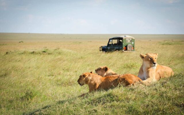 18 Days Uganda, Kenya and Tanzania Safari