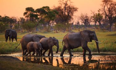 1-Day Tarangire National Park – Tour