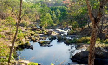 1-Day Biking to Dzalanyama Forest