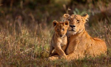 14-Day Walking Safari in South Africa and Swaziland