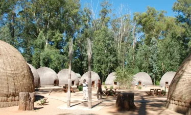 7-Day Eswatini Hlane & Mlilwane Guided Self-Drive Camp