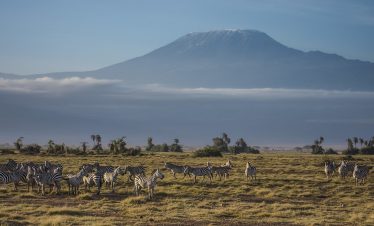 2-Day Amboseli Private Safari from Nairobi or Mombasa