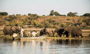 4-Day Victoria Falls Safari Club & Chobe Luxury Tour