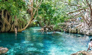 1 Day Arusha to Kikuletwa or Chemka Hotspring
