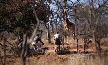 7-Day Eswatini Hlane & Mlilwane Guided Self-Drive Mid-range
