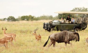 2-Day Night Drive and Bush Walk Add on to Kruger Safari