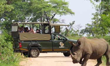 5-Day Safari to Kruger Park plus Panorama Route