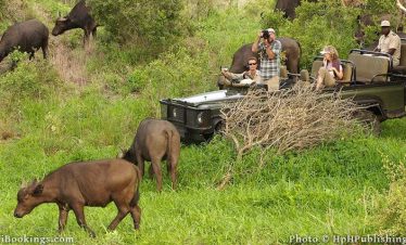 2-Day Mid-Range Garden Route Adventure