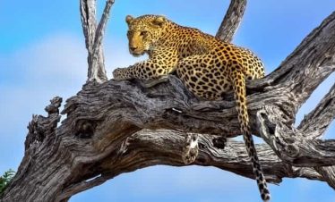 5-Day Kruger Park, Private Game Park & Canyon Explorer