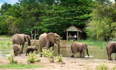 5-Day Kruger Park and Private Game Reserve Experience