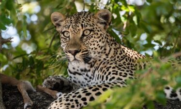 2-Day Kruger National Park Safari
