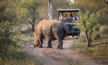 5-Day Tremisana/Masango Kruger Park Safari