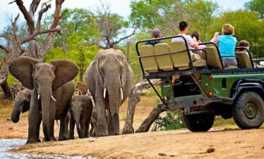 2-Day Kruger Adventure Safari