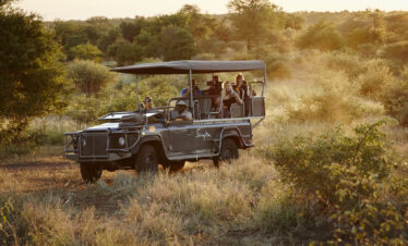 2-Day Kruger Safari from Cape Town