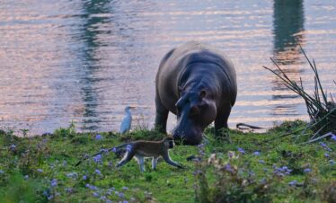 1-Day Hells Gate, Lake Naivasha & Crescent Island Trip