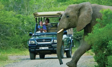 2-Day Luxury Pilanesberg Private Lodge Safari
