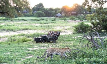 5-Day Malamala Exclusive Fly in Safari