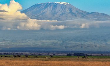 2-Day Amboseli Budget Safari Using Tour Van