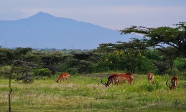 1-Day Mount Longonot Hike Tour