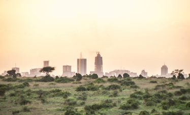 1-Day Nairobi Parks, City Culture & Nightlife Experience