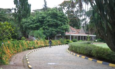 1-Day City Tour in Nairobi