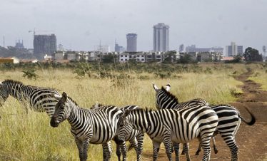 1-Day Nairobi Excursion/ Nairobi city Tour