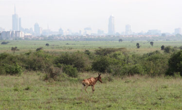 1-Day Nairobi City Escape in Minivan