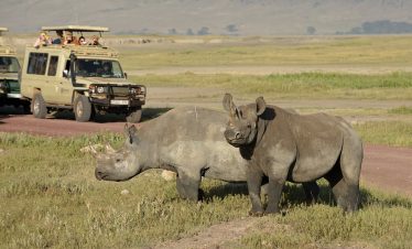 1-Day Ngorongoro Crater Rhino Safari