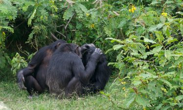 2-Day Overnight Trip to Olpajeta