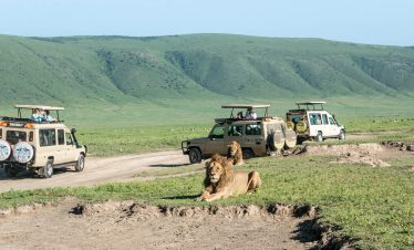 1-Day Big Five Safari in Ngorongoro Crater
