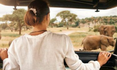 2-Day Pilanesberg National Park & Sun City