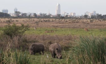 1-Day Nairobi Park Elephant Orphanage and Giraffe Center