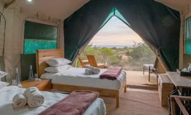2-Day Sindile Premier Tent at Shamwari – 1 Night