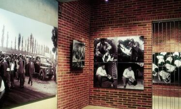 1-Day Full-Day Joburg, Soweto, Apartheid Museum & Lunch