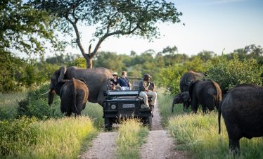 5-Day Ultimate Kruger Park Safari Inside the Reserve