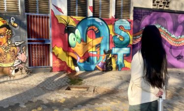 1-Day Private Custom Art Tour in Johannesburg