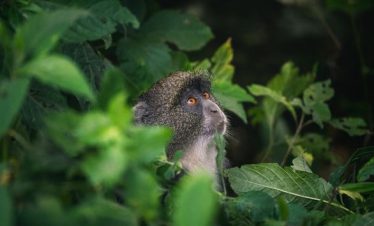 1-Day Arusha National Park – Forgotten Safari Pearl