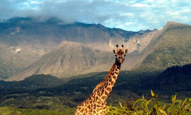 1-Day Mystic Mount Meru, a Trip to Arusha National Park