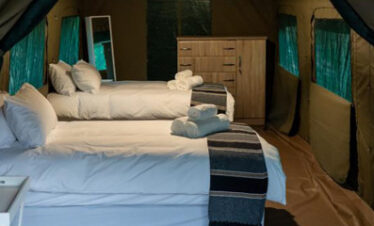 2-Day Sekekama Tented Camp Safari