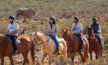 1-Day Big 5 Daytrip Safari in 4×4 and on Horseback