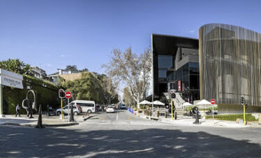 1-Day Private Custom Art Tour in Johannesburg
