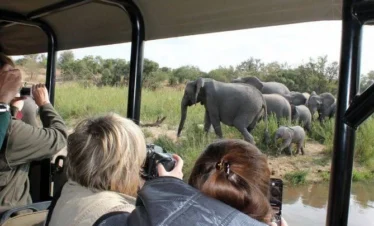 2-Day Kruger Magical Safari from Johannesburg