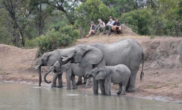 16-Day Eswatini, Kruger Guided Self-Drive Budget Camping