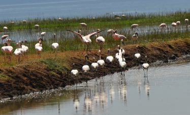 2-Day Hells Gate Lake Nakuru Tour